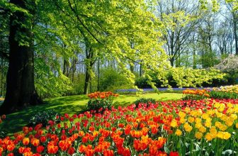 Garden Centre Koeman Discount Code