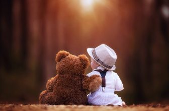 Steiner Discount Code