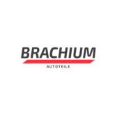 Brachium