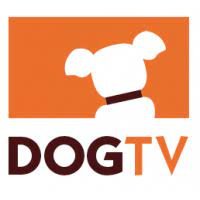 DOGTV