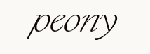 10% Discount On First Order At Peony