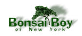Get Free Shipping at Bonsai Boy