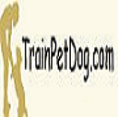 Price Starting From $67 On Selected Courses at TrainPetDog