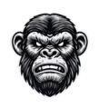 Authority Ape UK