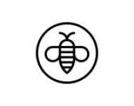 Basic Honey US