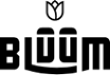 Bluum US