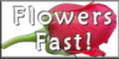 Flowers Fast US