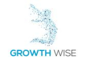 Growth Wise US