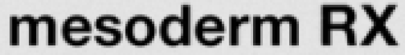 Mesoderm RX US