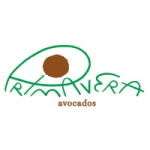 Primavera Avocados US