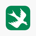 Rain Bird