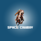 Space Cowboy US