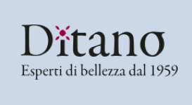 Ditano IT