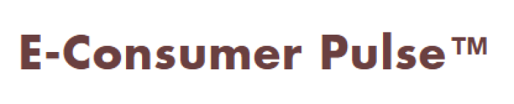 E Consumer Pulse US