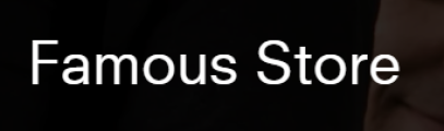 Famous Store IT