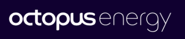 OctopusEnergy IT