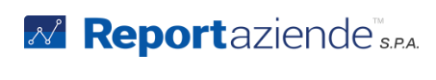 Reportaziende IT