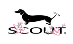 Scout US